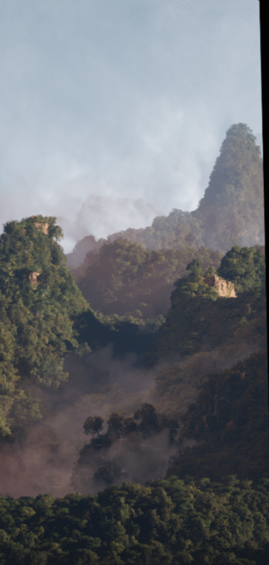 Concept Art — Misty Jungle